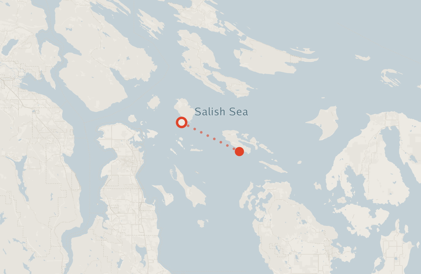 Activity map — real sighting points on an OpenStreetMap basemap