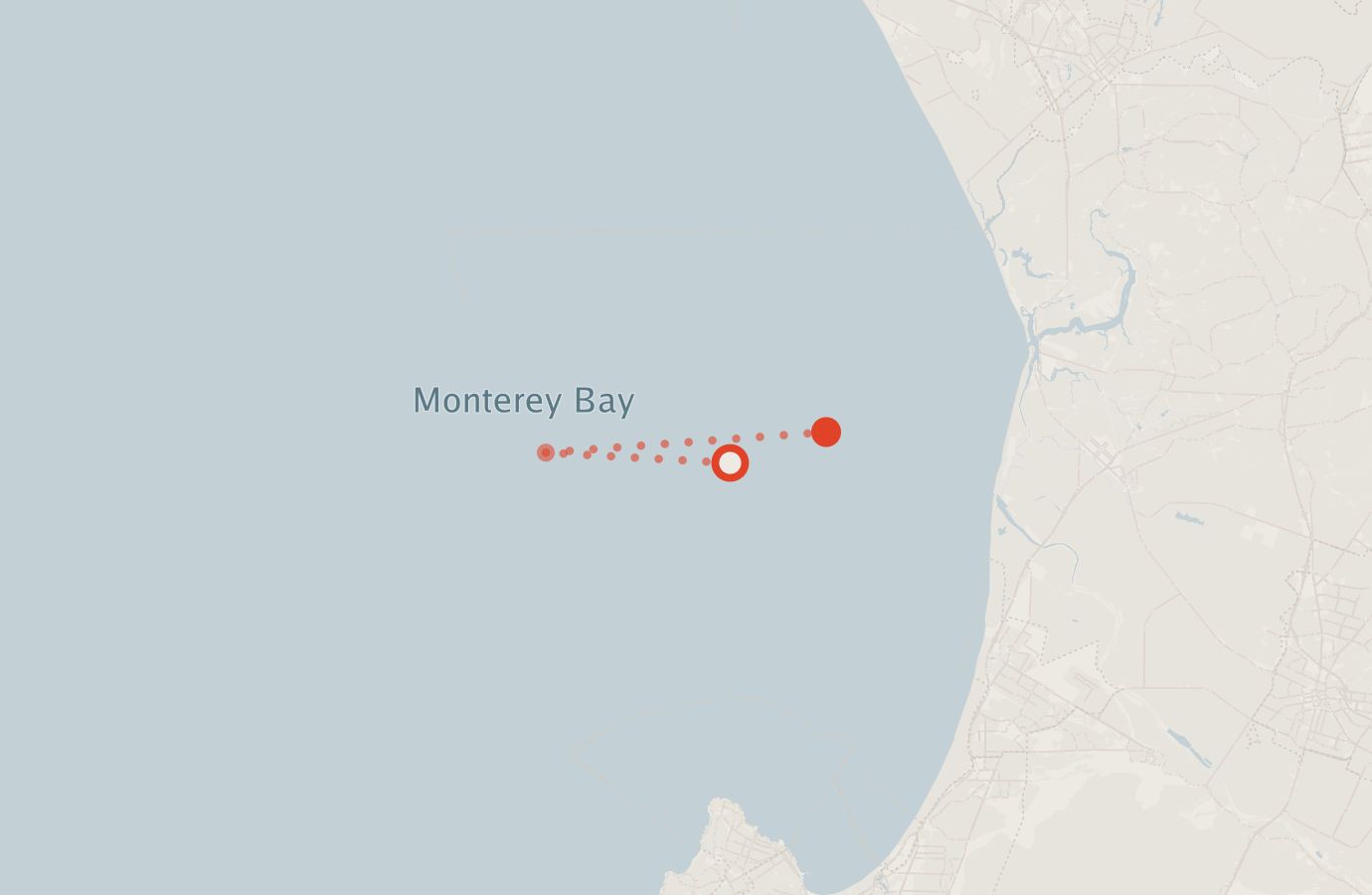 Activity map — real sighting points on an OpenStreetMap basemap
