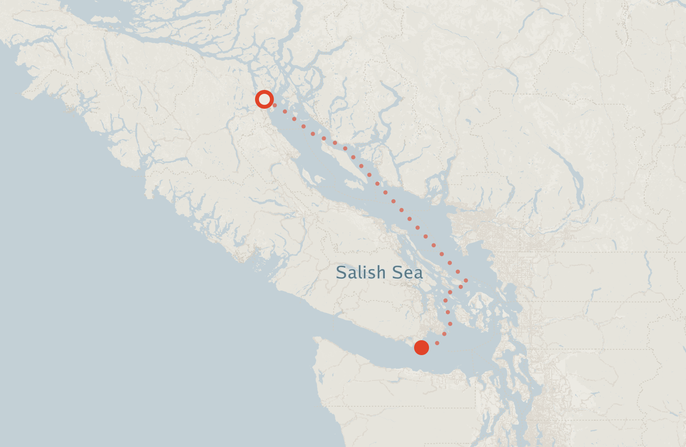 Activity map — real sighting points on an OpenStreetMap basemap