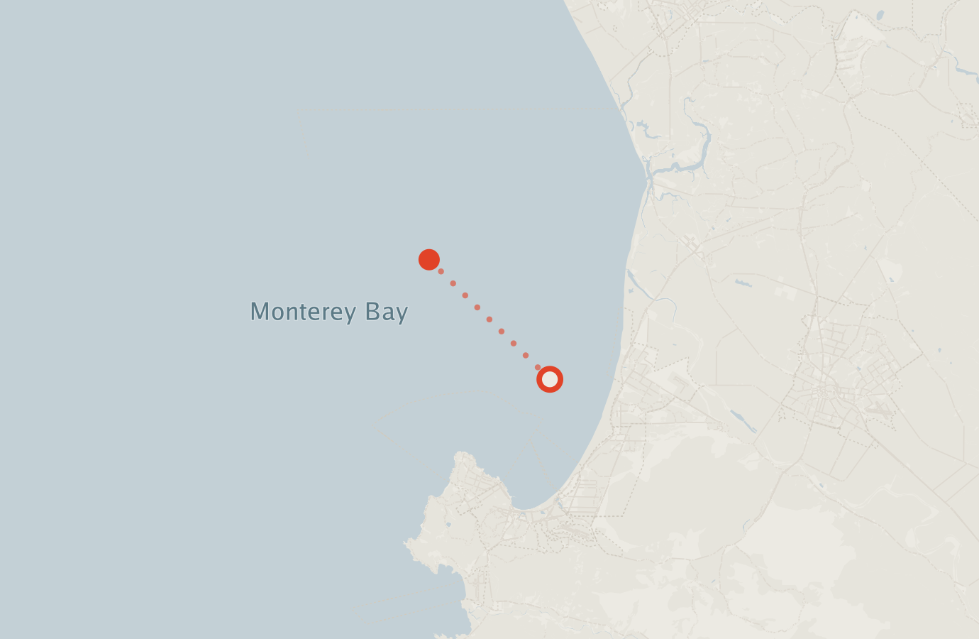 Activity map — real sighting points on an OpenStreetMap basemap