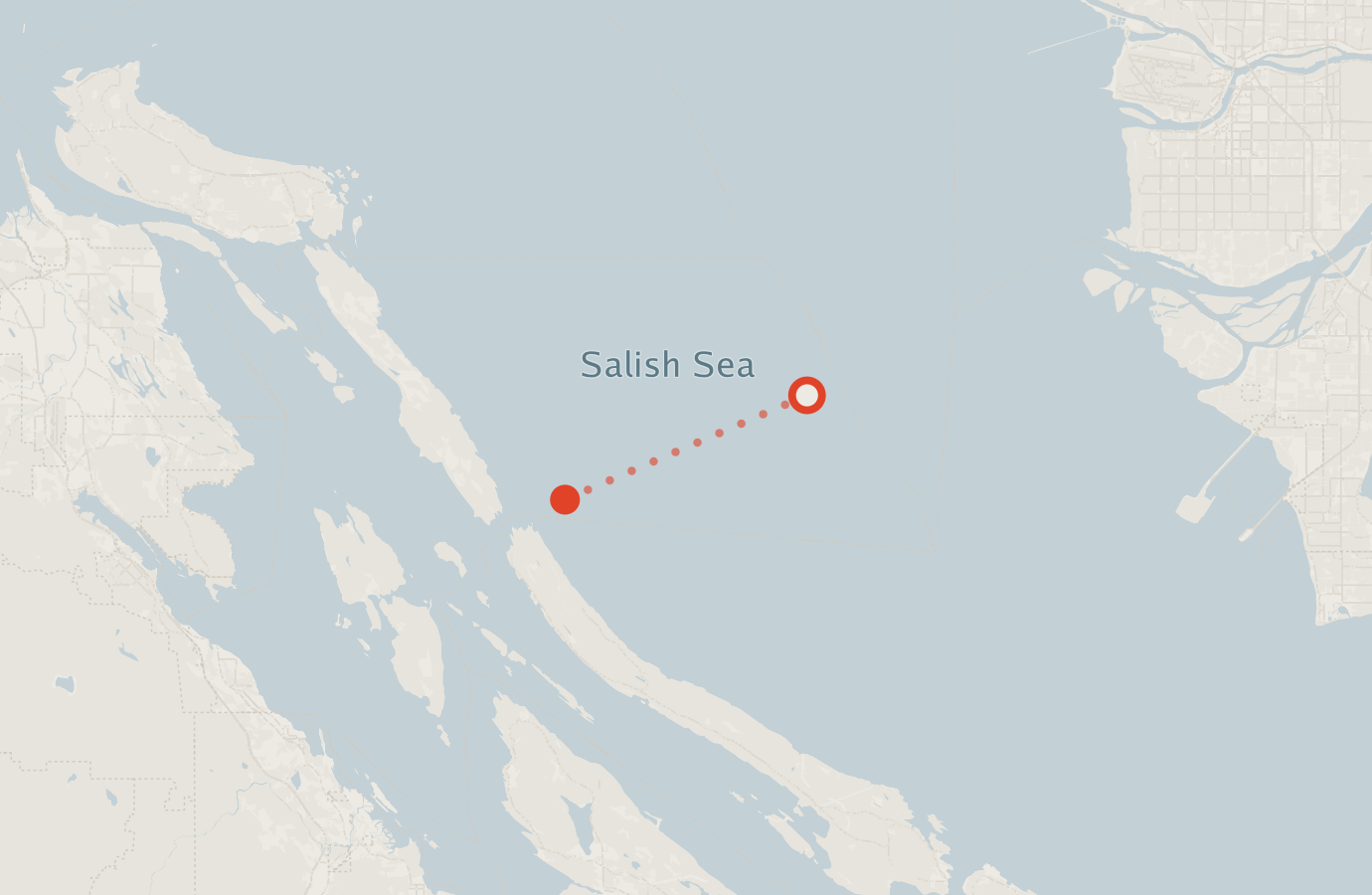 Activity map — real sighting points on an OpenStreetMap basemap