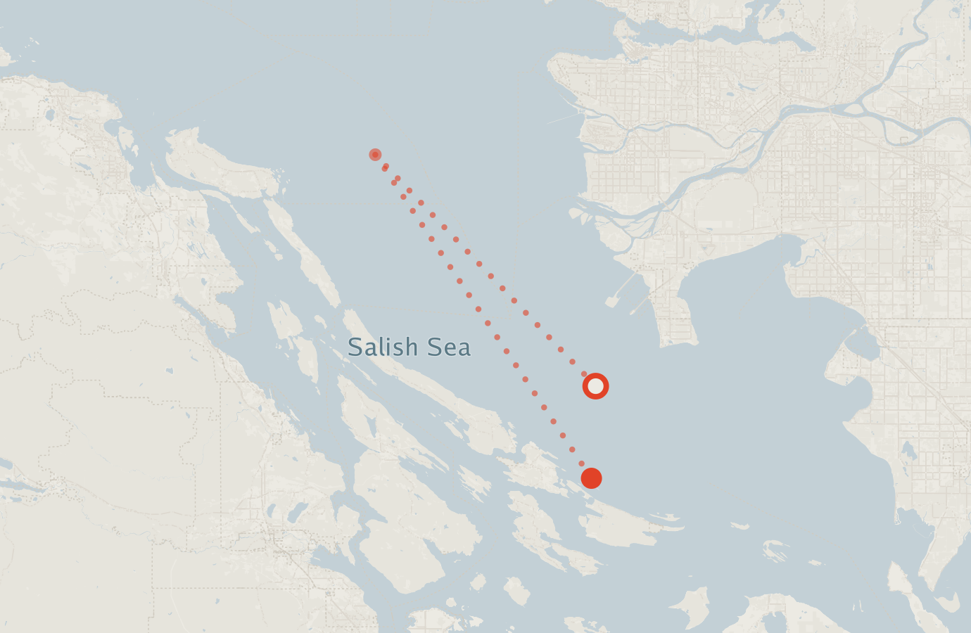 Activity map — real sighting points on an OpenStreetMap basemap