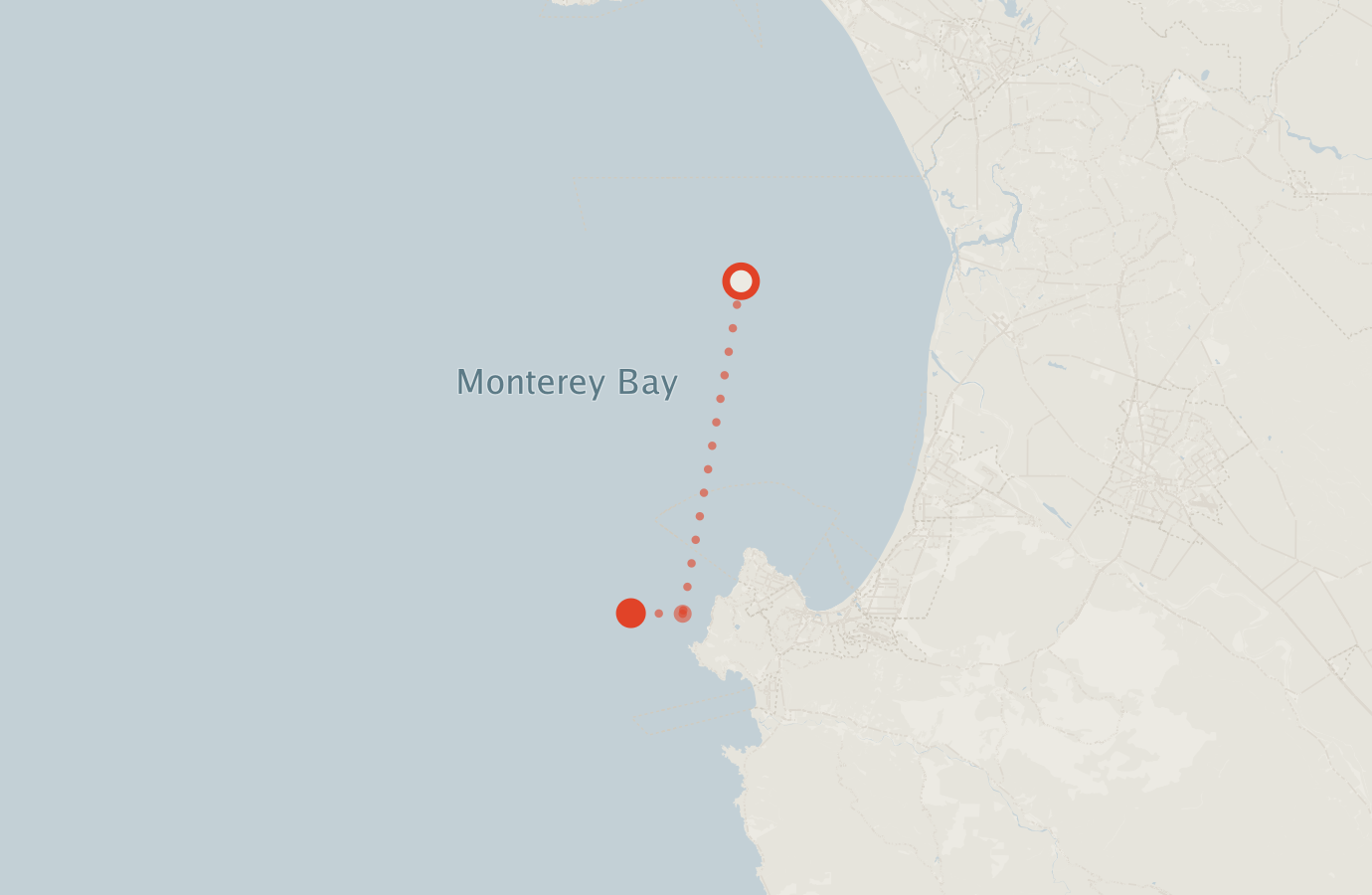 Activity map — real sighting points on an OpenStreetMap basemap