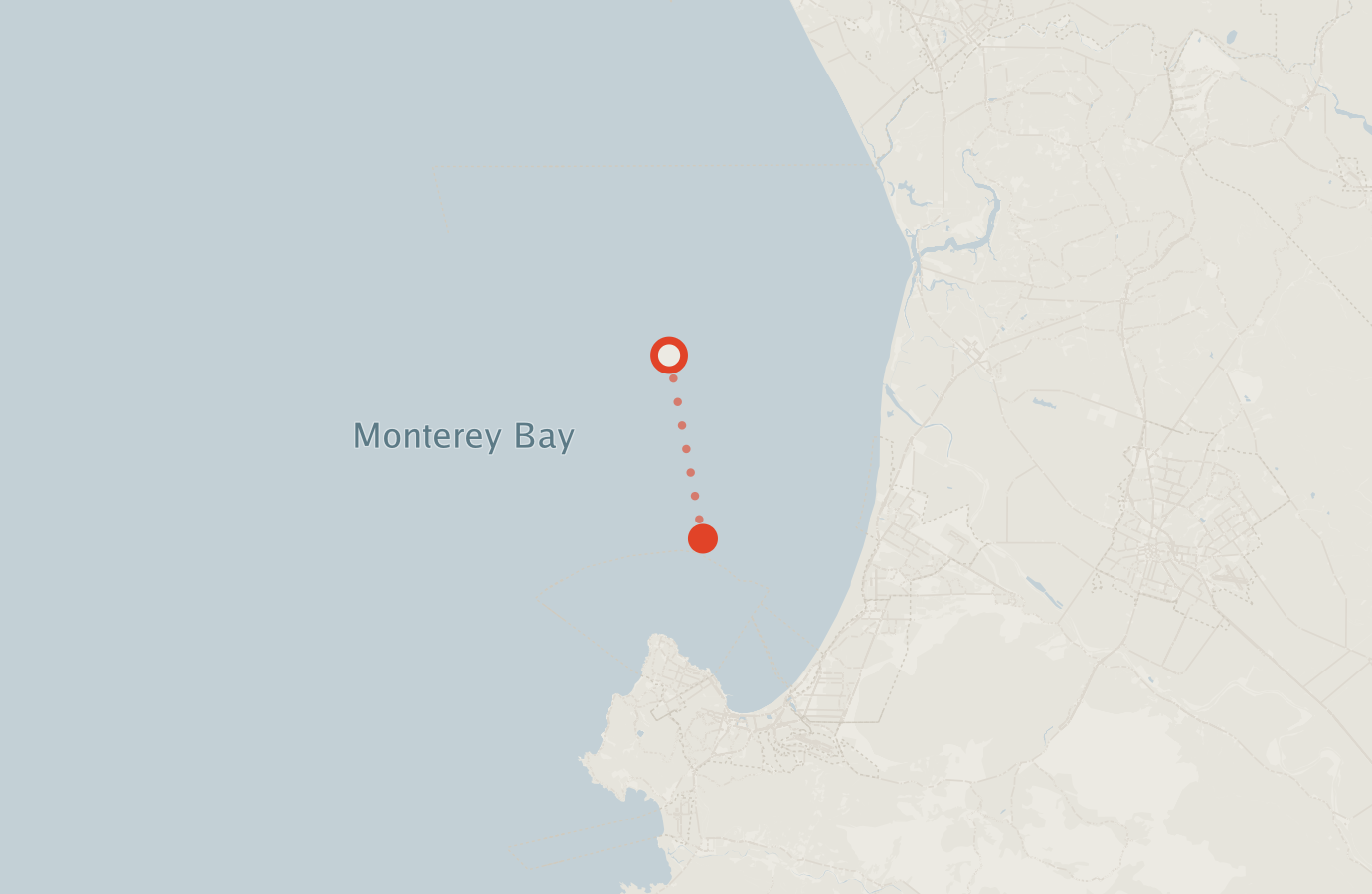 Activity map — real sighting points on an OpenStreetMap basemap