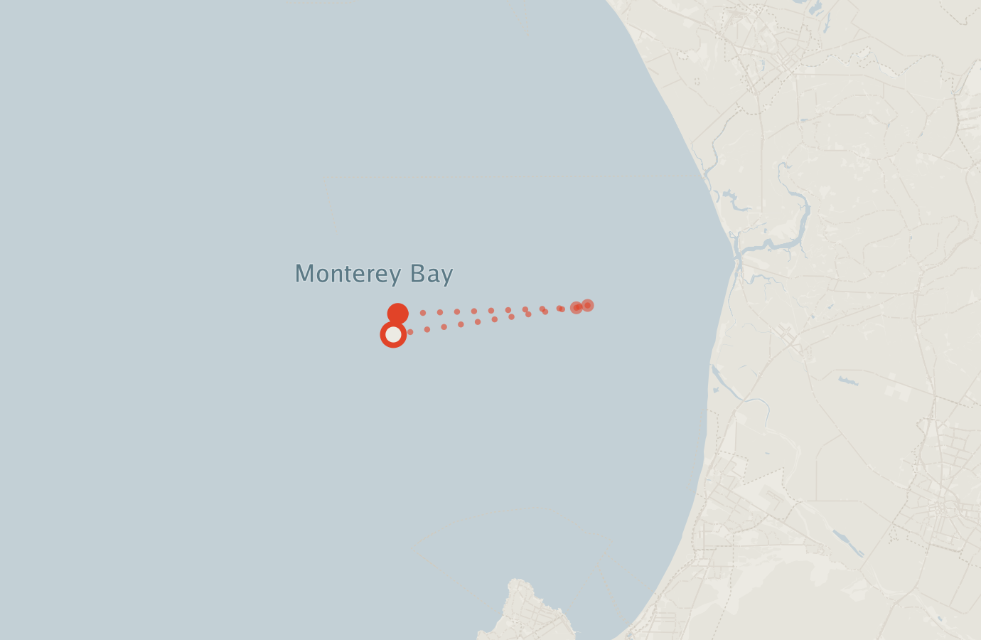 Activity map — real sighting points on an OpenStreetMap basemap