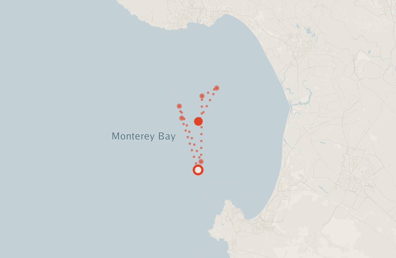 Activity map — real sighting points on an OpenStreetMap basemap
