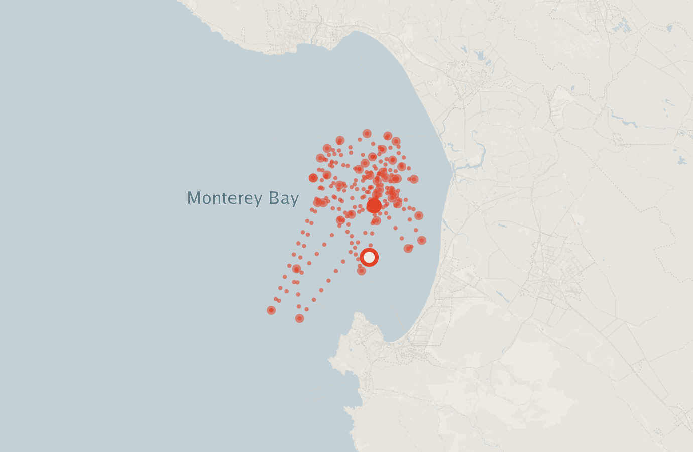 Activity map — real sighting points on an OpenStreetMap basemap