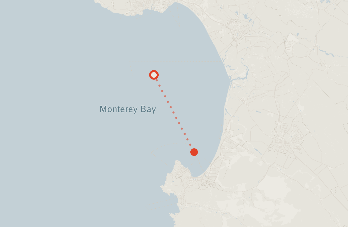 Activity map — real sighting points on an OpenStreetMap basemap