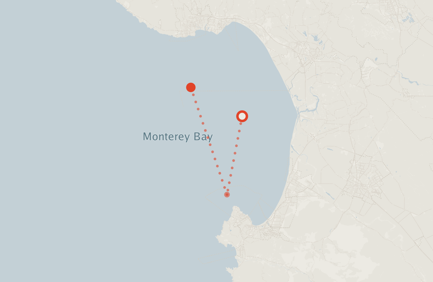 Activity map — real sighting points on an OpenStreetMap basemap
