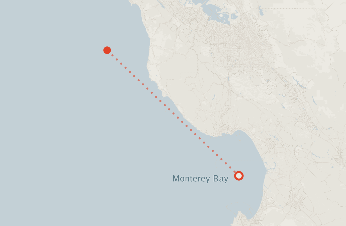 Activity map — real sighting points on an OpenStreetMap basemap