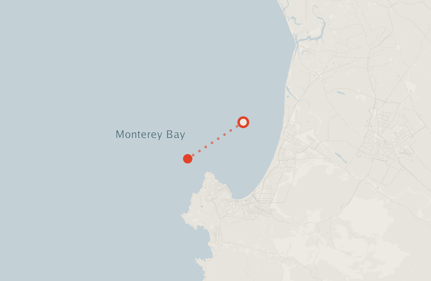 Activity map — real sighting points on an OpenStreetMap basemap