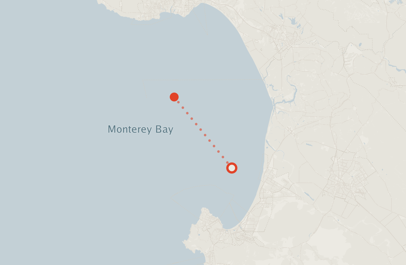 Activity map — real sighting points on an OpenStreetMap basemap