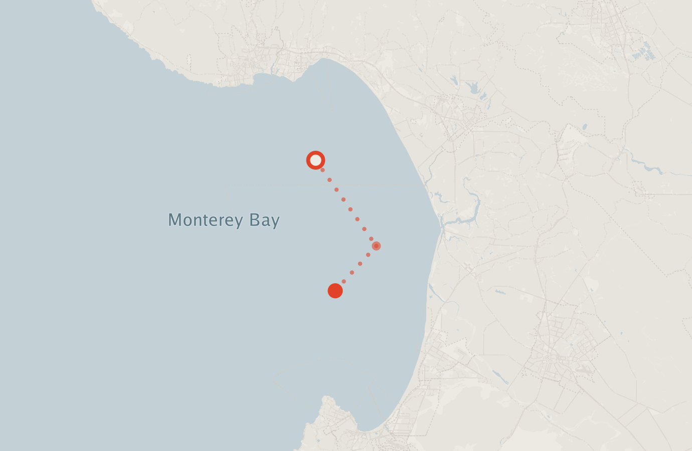 Activity map — real sighting points on an OpenStreetMap basemap
