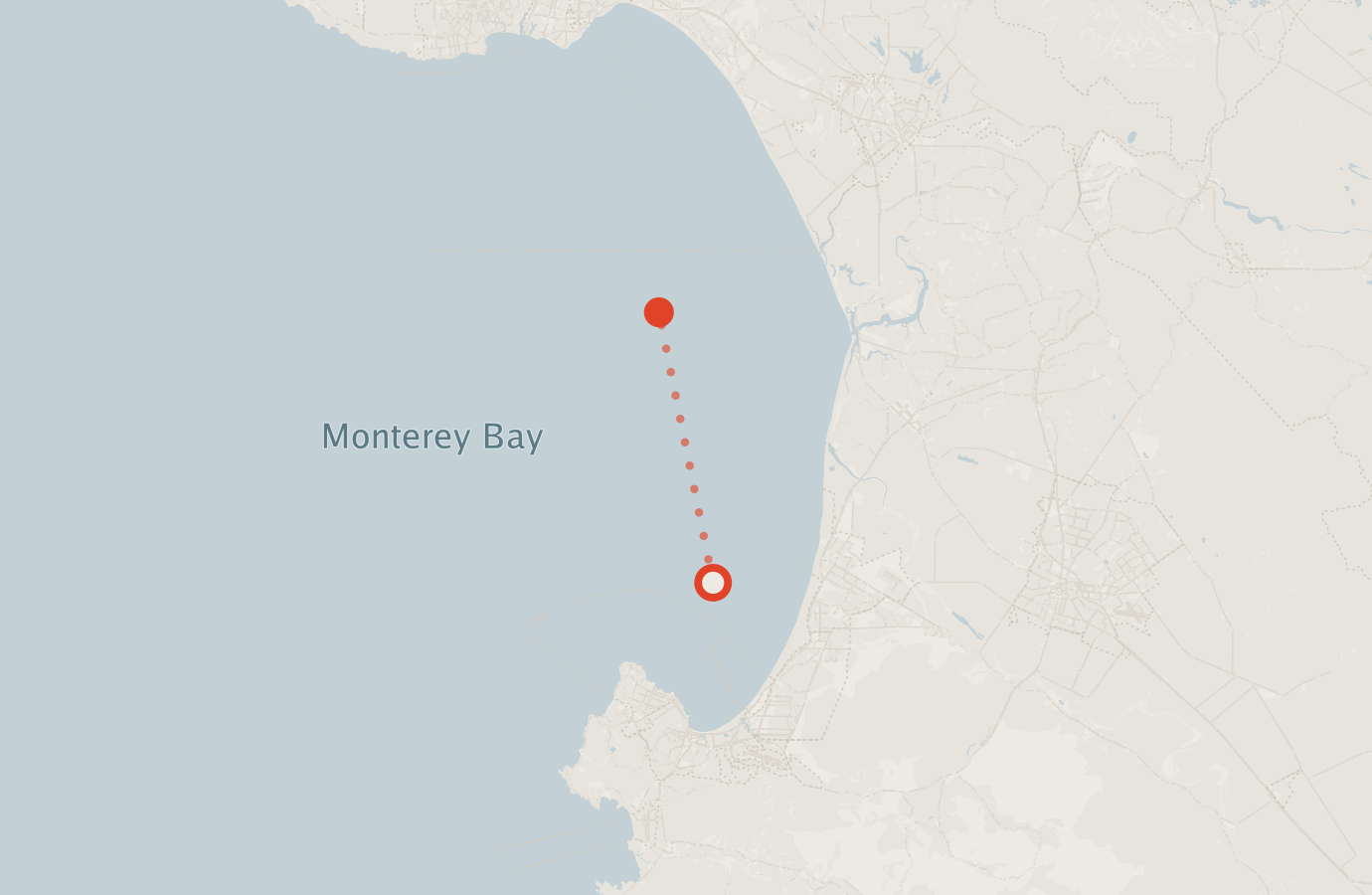 Activity map — real sighting points on an OpenStreetMap basemap