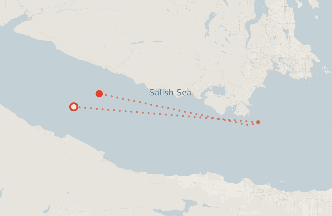 Activity map — real sighting points on an OpenStreetMap basemap