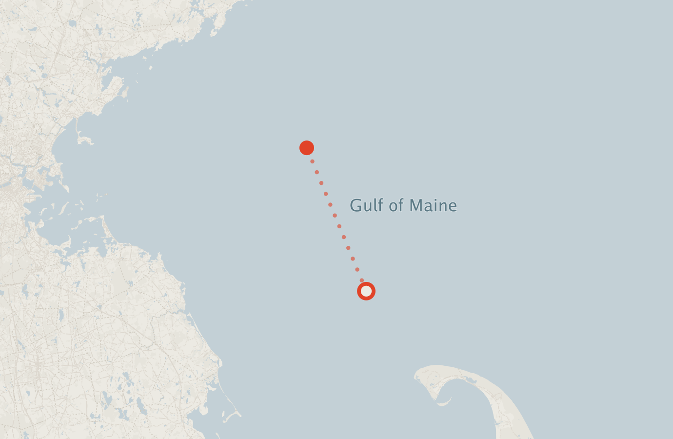 Activity map — real sighting points on an OpenStreetMap basemap