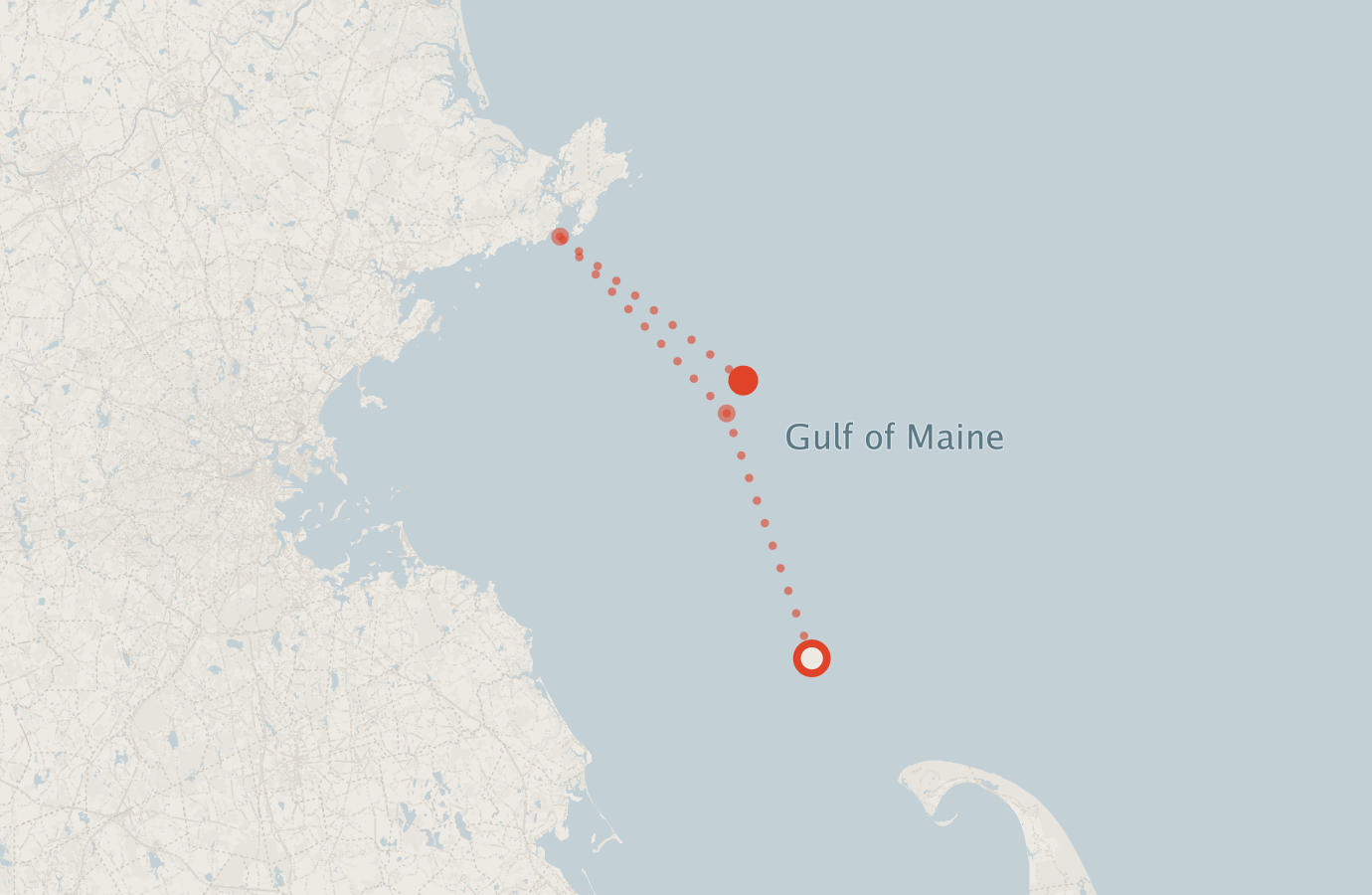 Activity map — real sighting points on an OpenStreetMap basemap