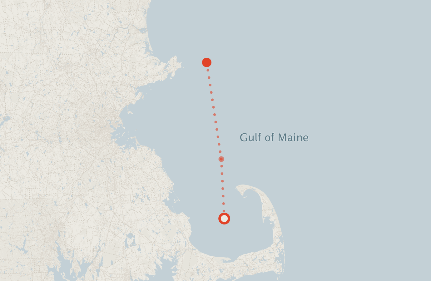 Activity map — real sighting points on an OpenStreetMap basemap