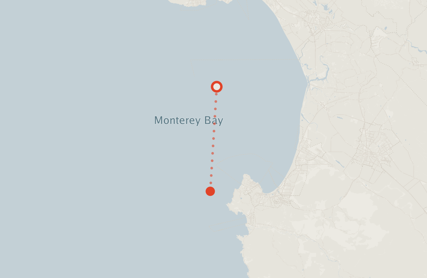 Activity map — real sighting points on an OpenStreetMap basemap