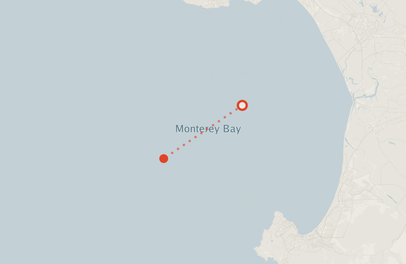 Activity map — real sighting points on an OpenStreetMap basemap