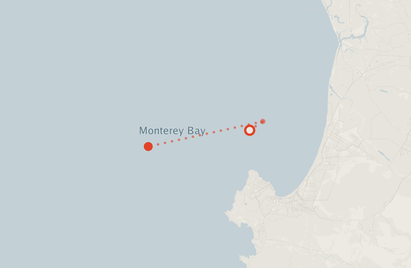 Activity map — real sighting points on an OpenStreetMap basemap