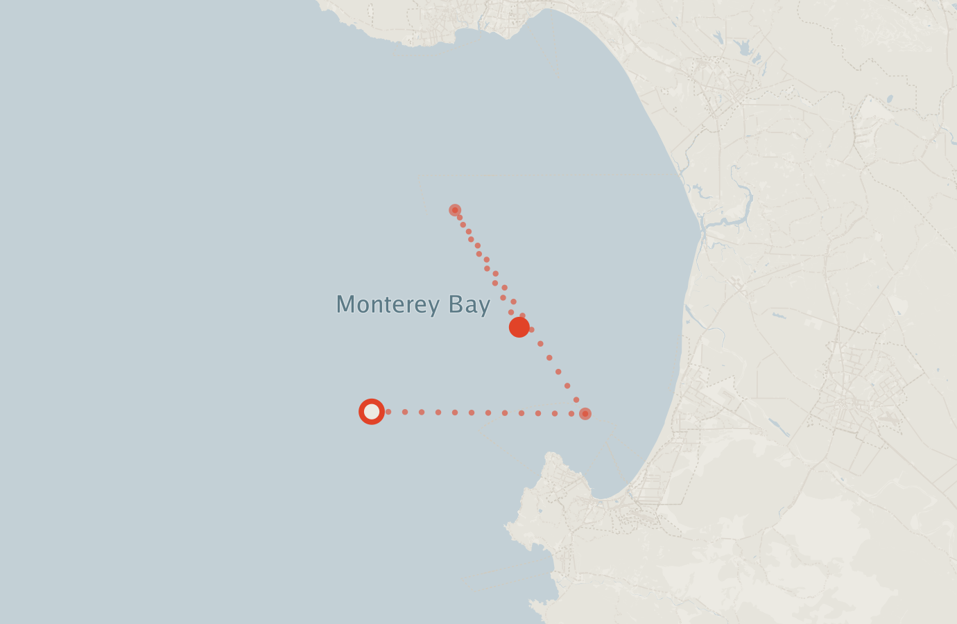 Activity map — real sighting points on an OpenStreetMap basemap