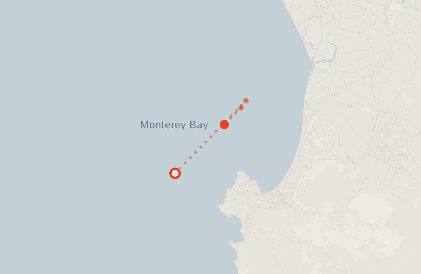 Activity map — real sighting points on an OpenStreetMap basemap