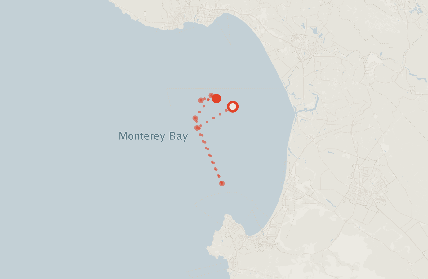 Activity map — real sighting points on an OpenStreetMap basemap