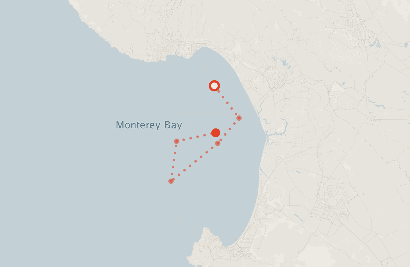 Activity map — real sighting points on an OpenStreetMap basemap