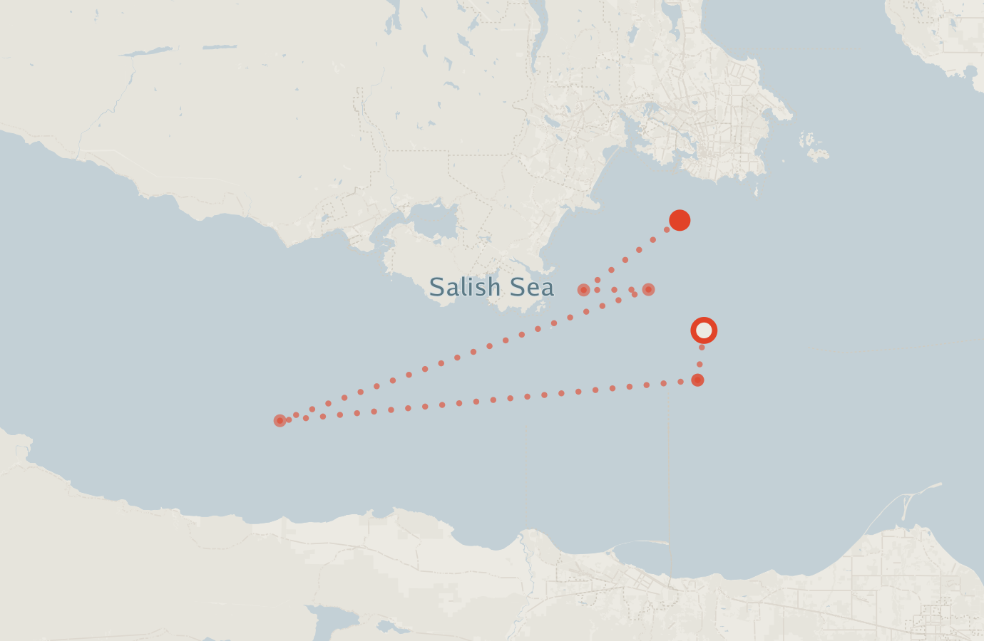Activity map — real sighting points on an OpenStreetMap basemap