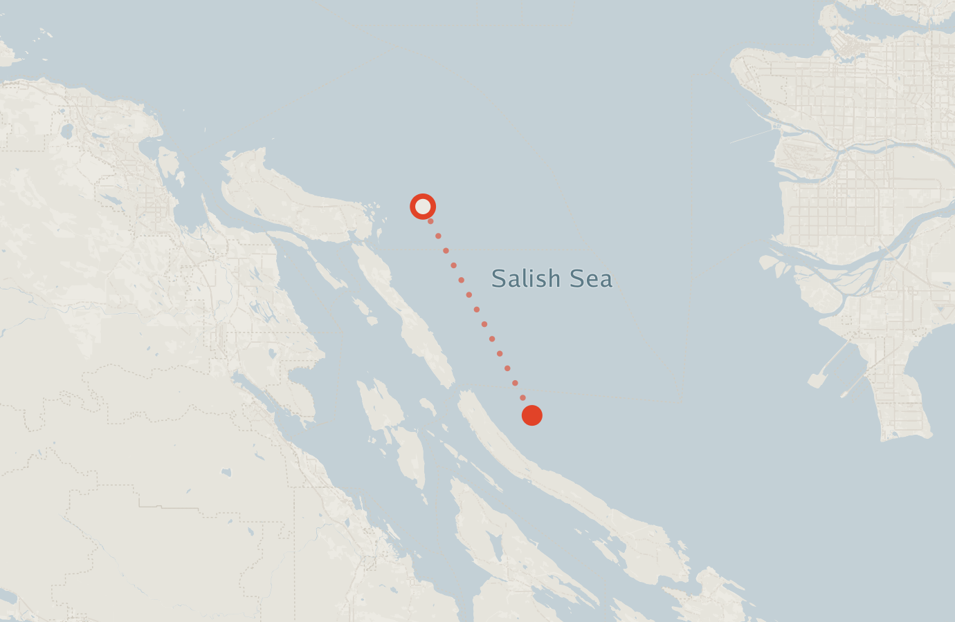 Activity map — real sighting points on an OpenStreetMap basemap