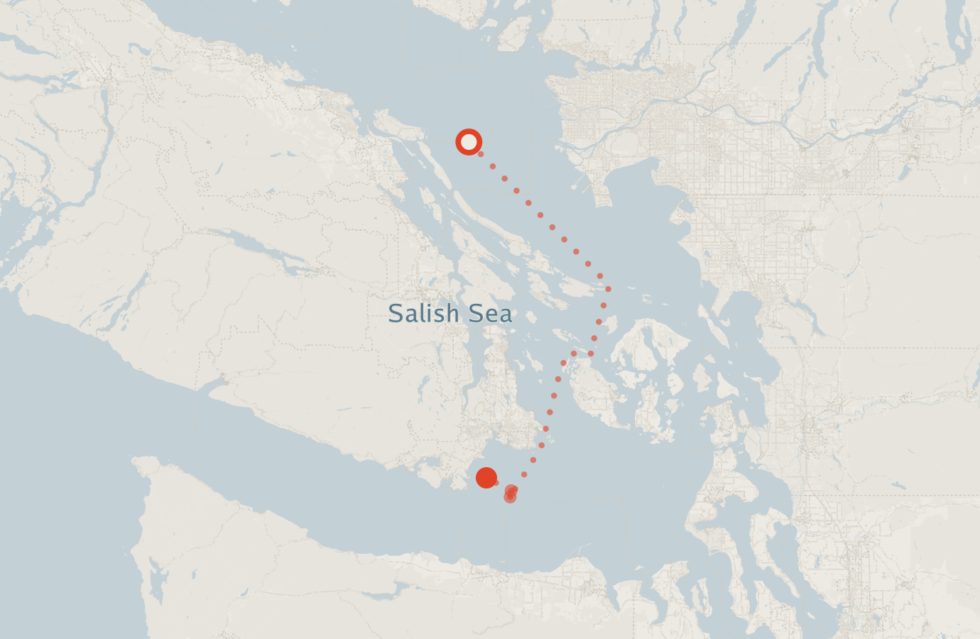 Activity map — real sighting points on an OpenStreetMap basemap
