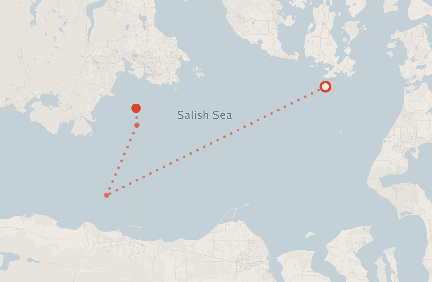 Activity map — real sighting points on an OpenStreetMap basemap