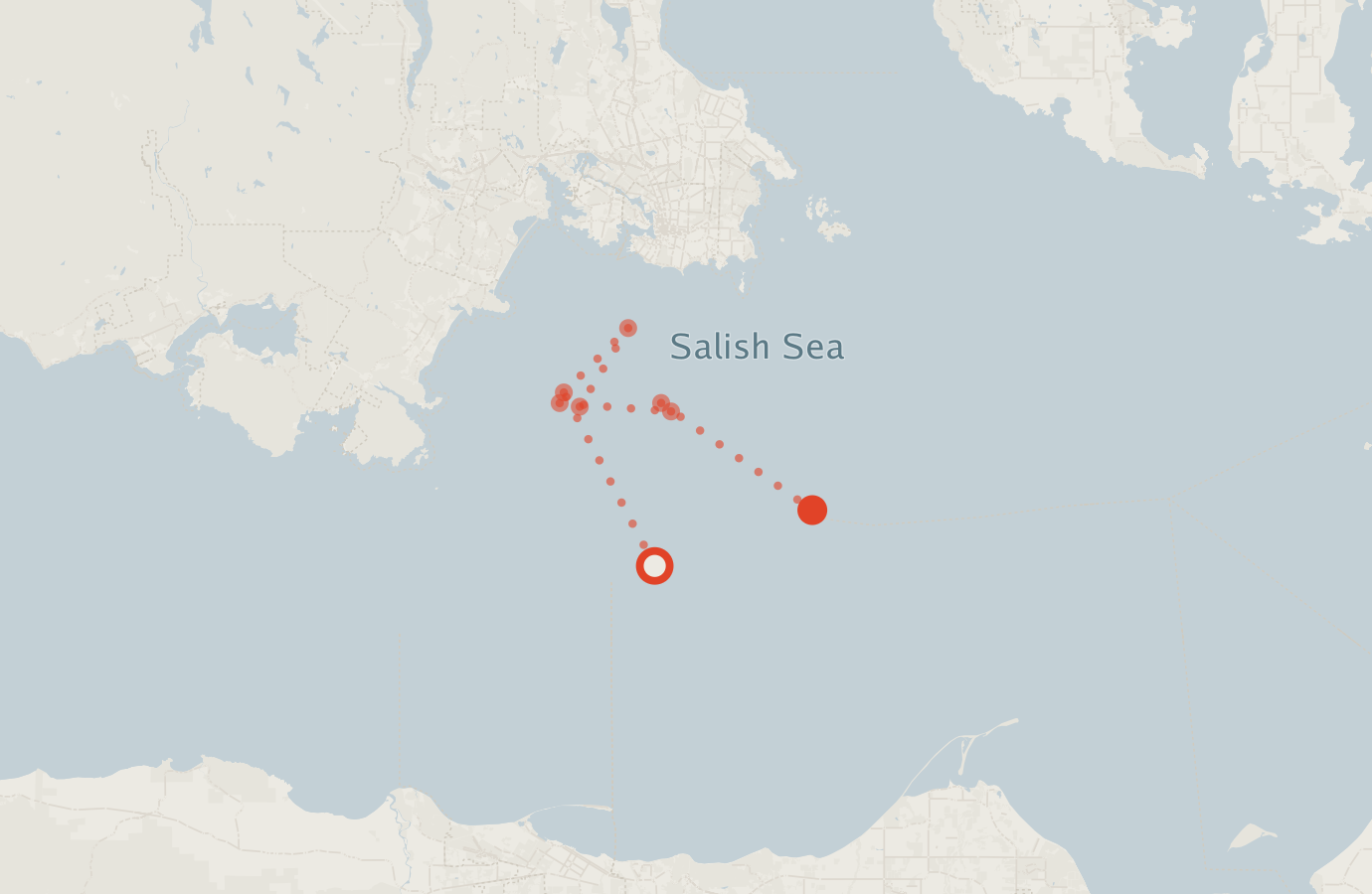 Activity map — real sighting points on an OpenStreetMap basemap