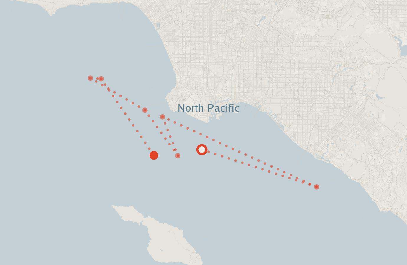 Activity map — real sighting points on an OpenStreetMap basemap