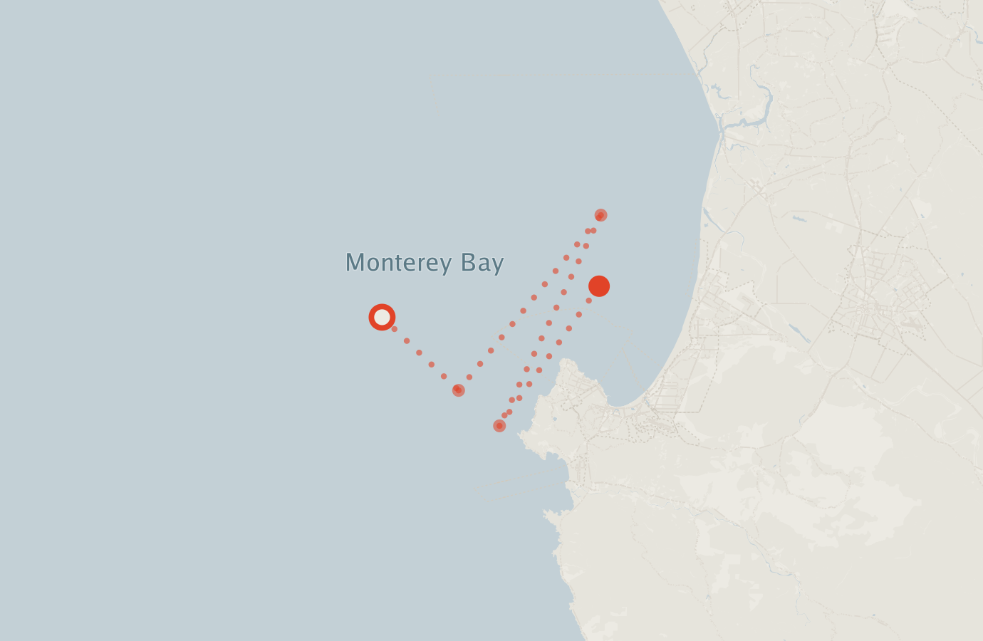 Activity map — real sighting points on an OpenStreetMap basemap