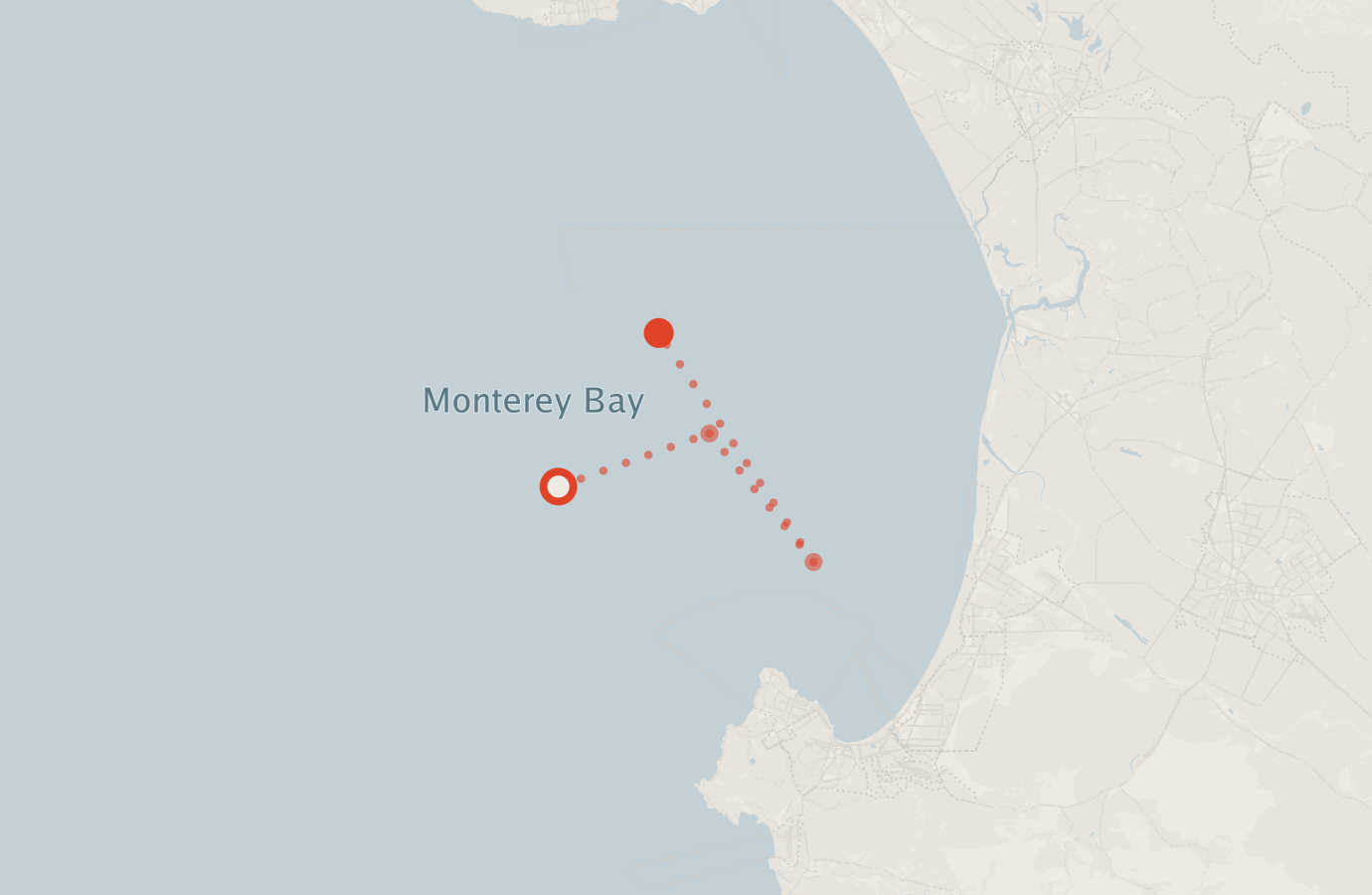Activity map — real sighting points on an OpenStreetMap basemap