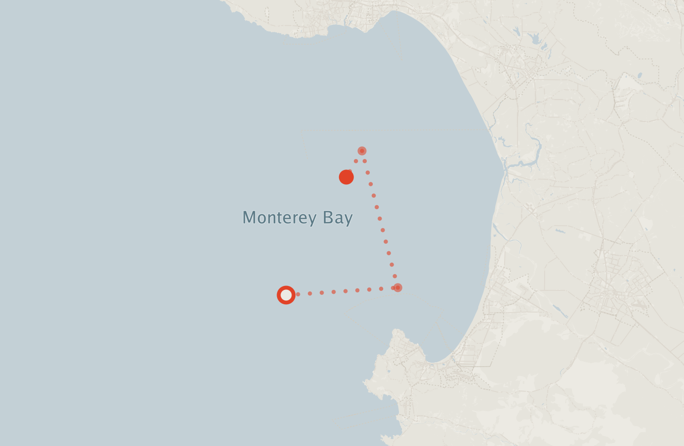 Activity map — real sighting points on an OpenStreetMap basemap