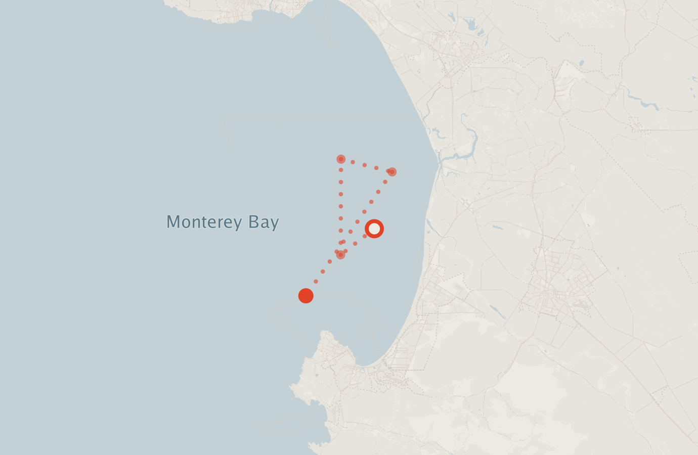Activity map — real sighting points on an OpenStreetMap basemap