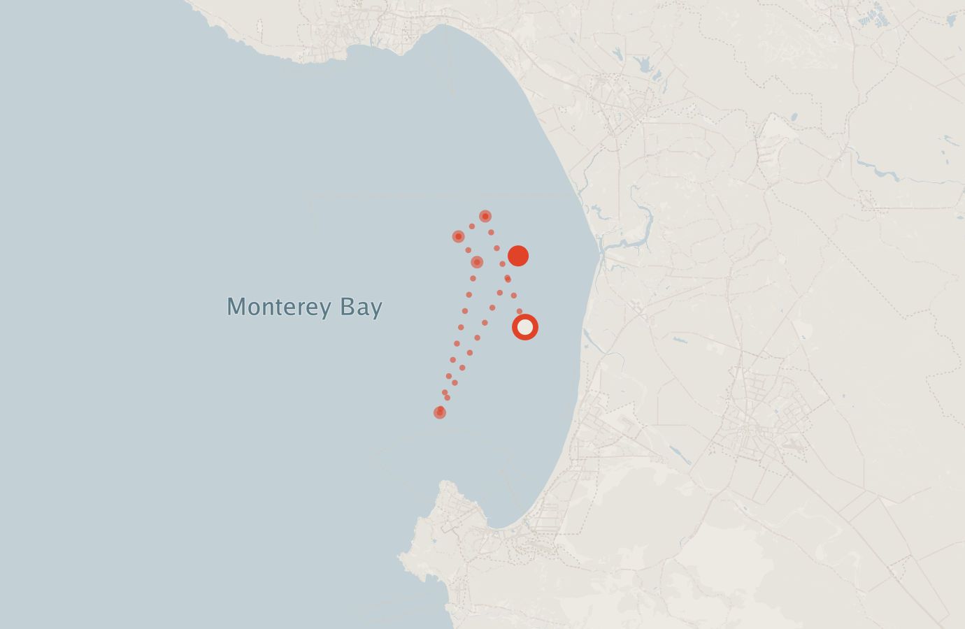 Activity map — real sighting points on an OpenStreetMap basemap