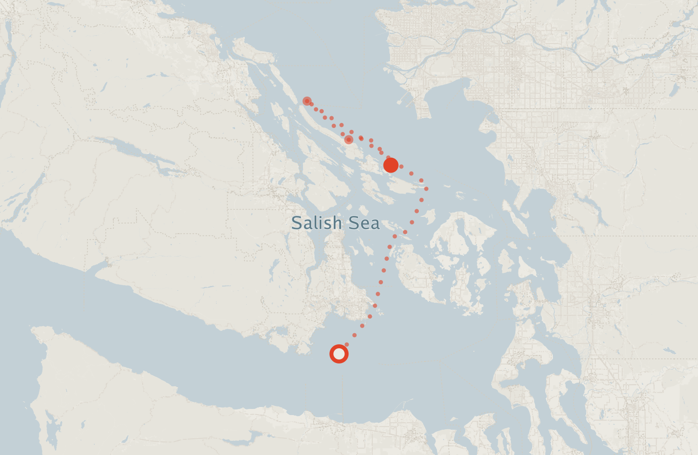 Activity map — real sighting points on an OpenStreetMap basemap