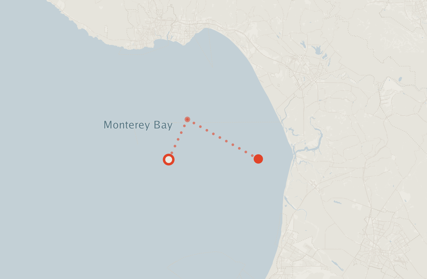 Activity map — real sighting points on an OpenStreetMap basemap