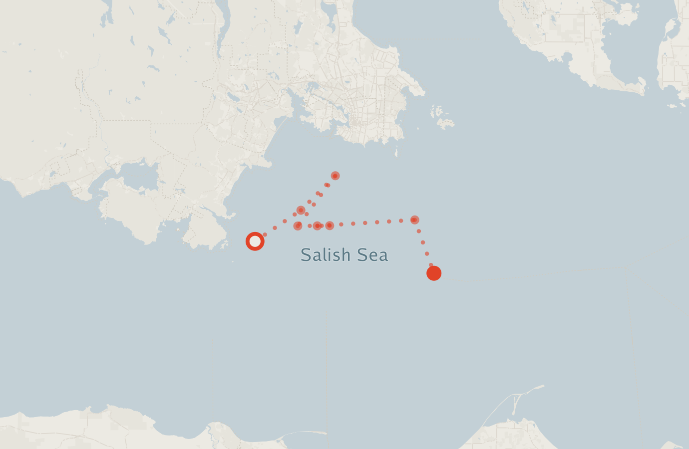 Activity map — real sighting points on an OpenStreetMap basemap