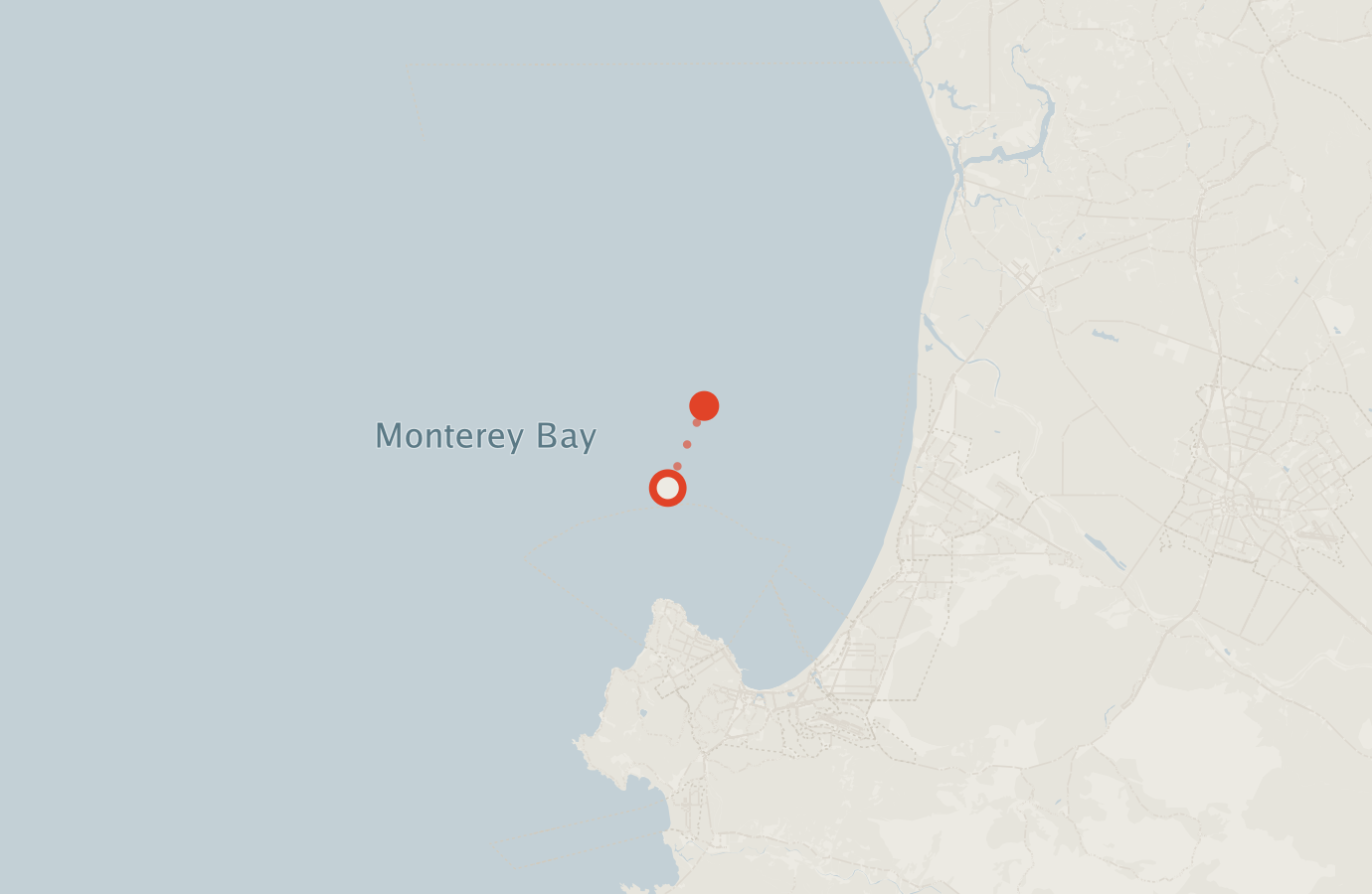 Activity map — real sighting points on an OpenStreetMap basemap