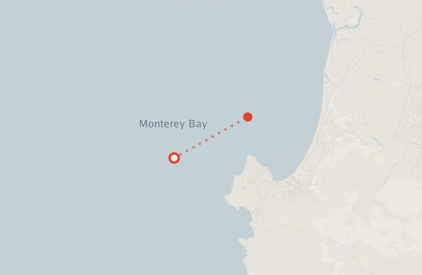 Activity map — real sighting points on an OpenStreetMap basemap