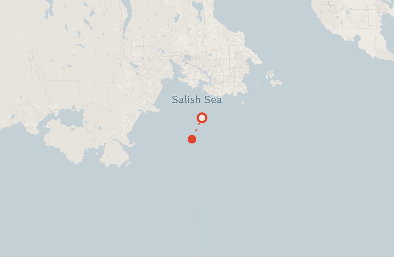 Activity map — real sighting points on an OpenStreetMap basemap