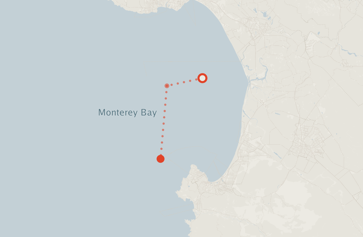 Activity map — real sighting points on an OpenStreetMap basemap