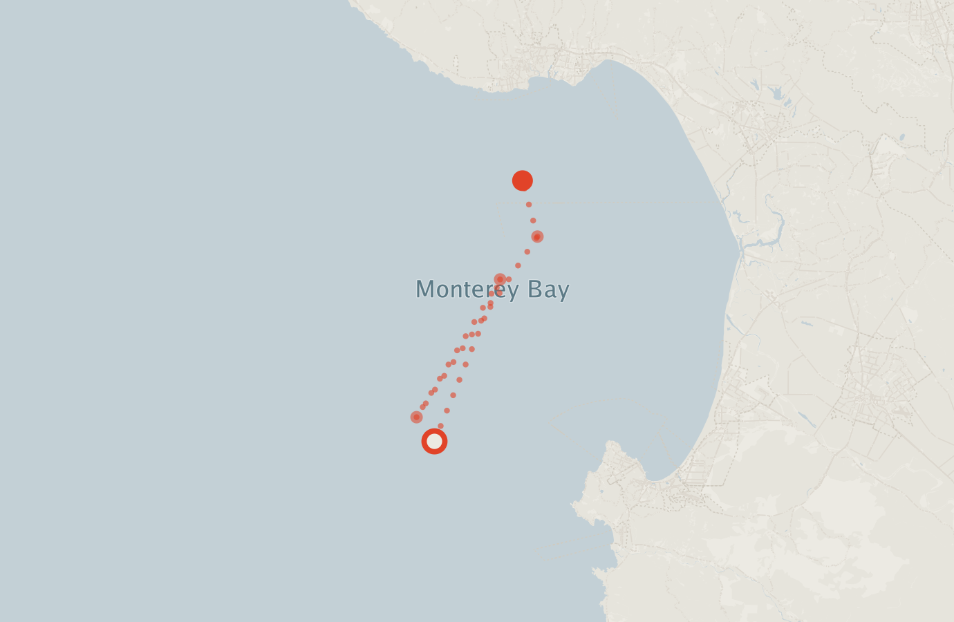 Activity map — real sighting points on an OpenStreetMap basemap