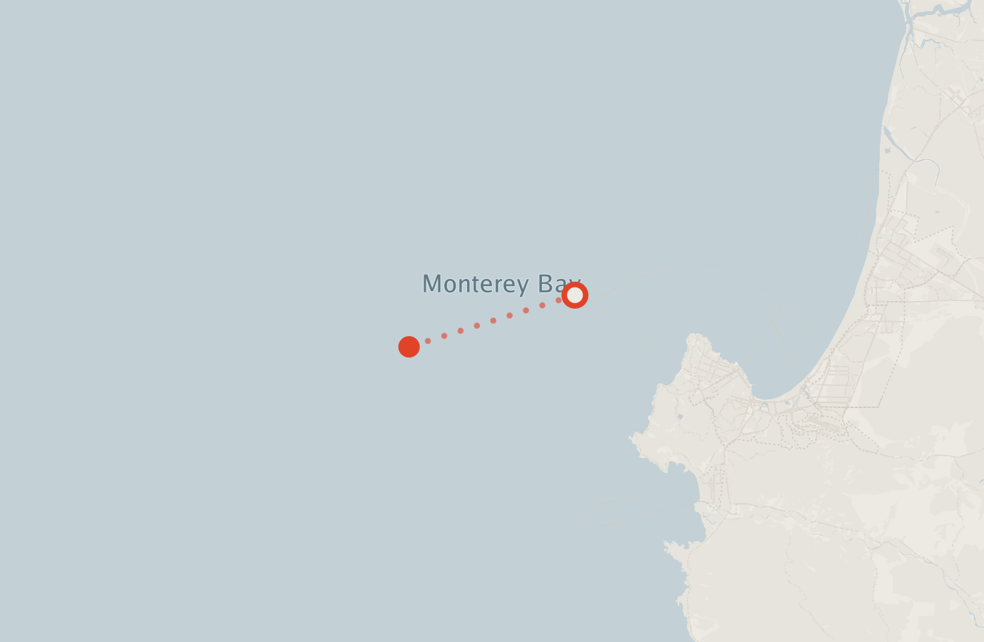 Activity map — real sighting points on an OpenStreetMap basemap