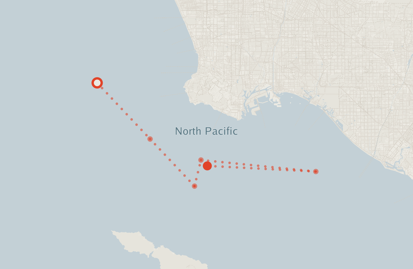 Activity map — real sighting points on an OpenStreetMap basemap